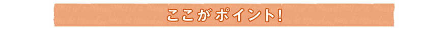 ここがポイント！